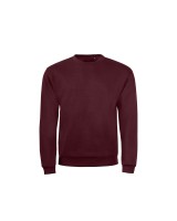 Unisex džemperis PAČILINAM?